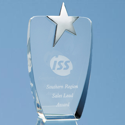 19.5cm Optic Oval Award with Silver Star
