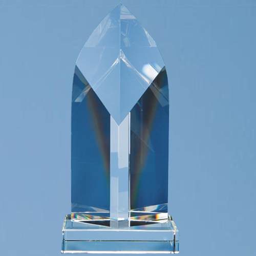 24.5cm Optic Arch Award