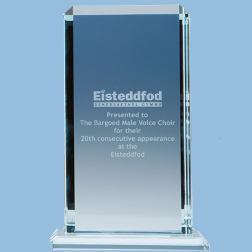 23cm CrystalEdge Clear Echo Award